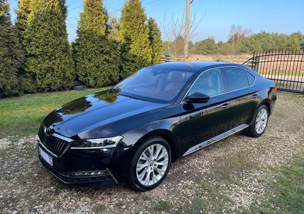 boguszów-gorce Skoda Superb cena 139900 przebieg: 98000, rok produkcji 2019 z Boguszów-Gorce